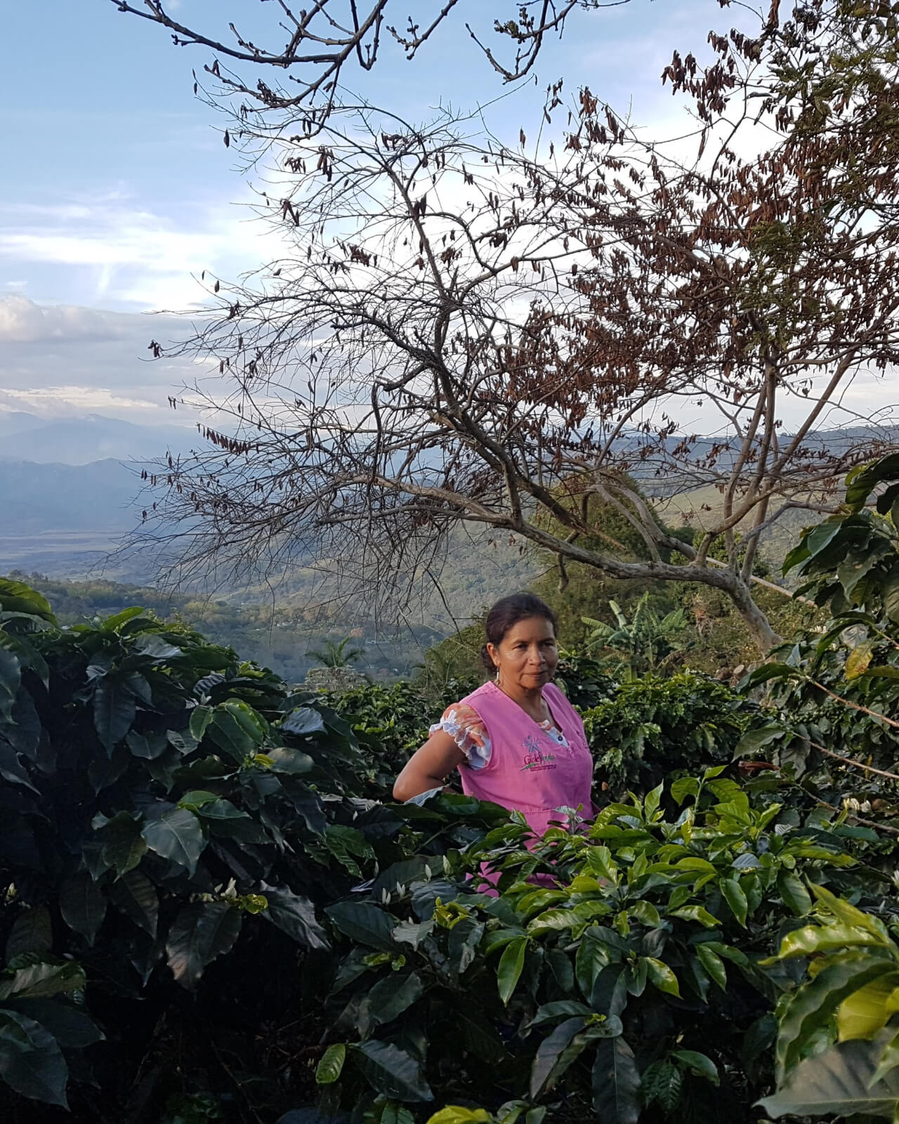 Colombia Las Rosas - Image 4