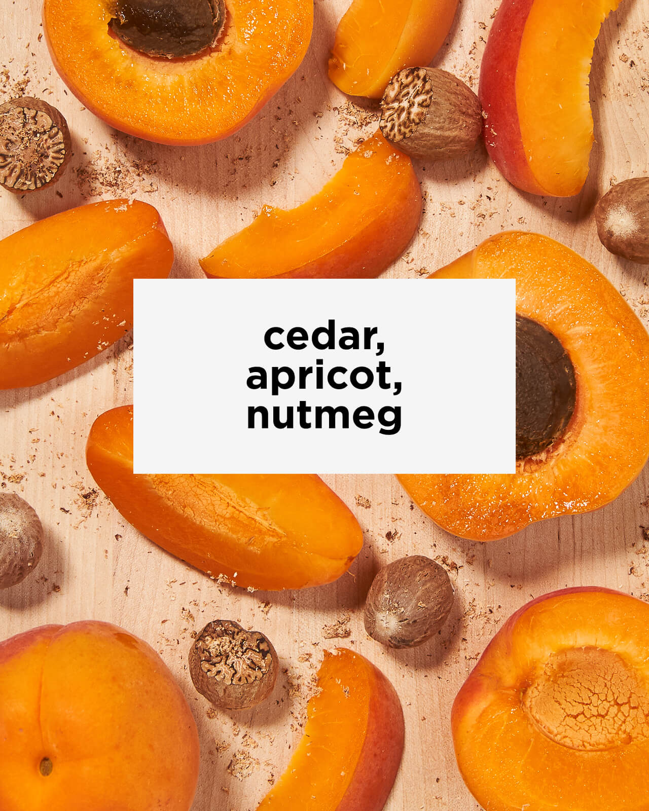 Equator Blend Instant Coffee - Image 3