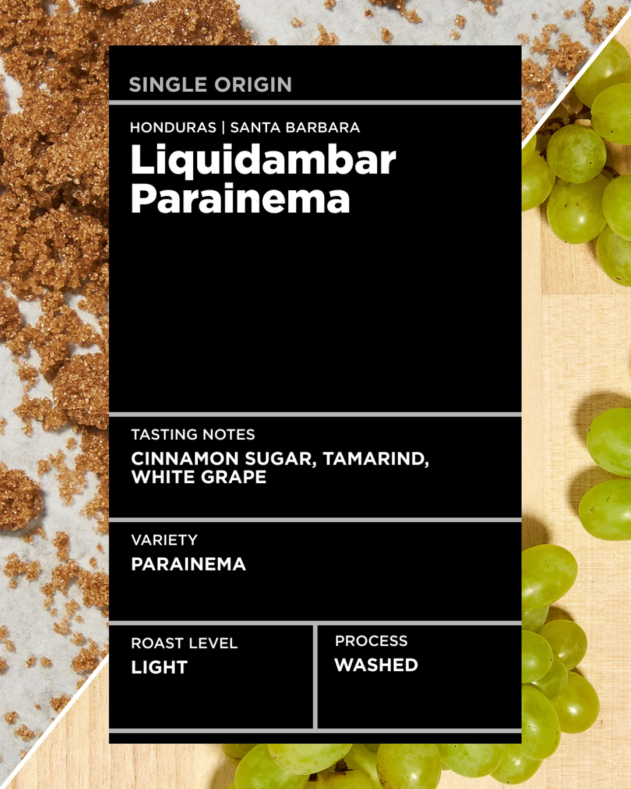 Honduras Liquidambar Parainema - Image 3