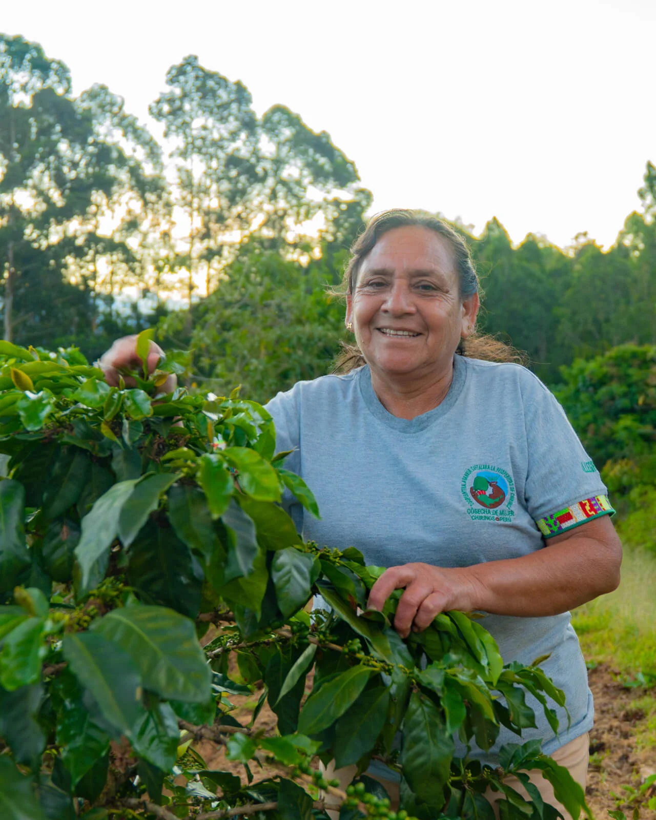 Peru Chirinos - Regenerative Organic Certified® - Image 4