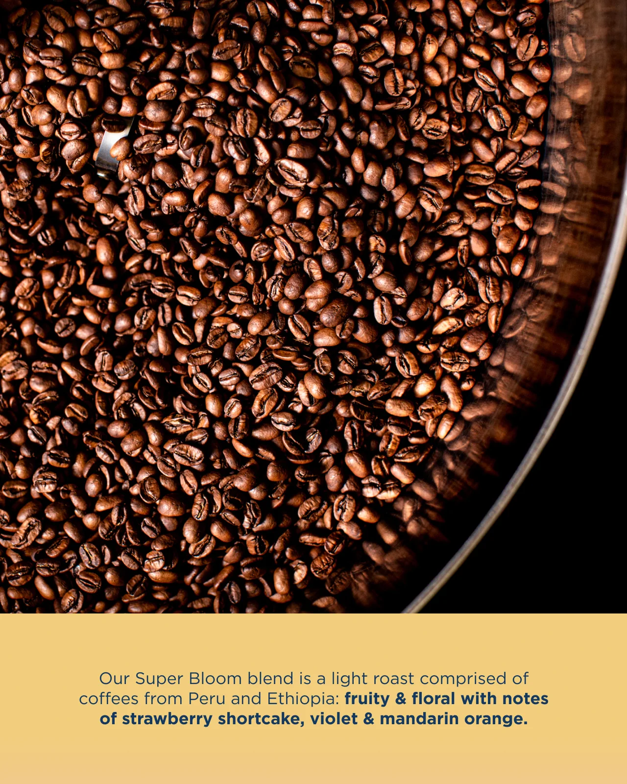 Super Bloom Blend - Image 3